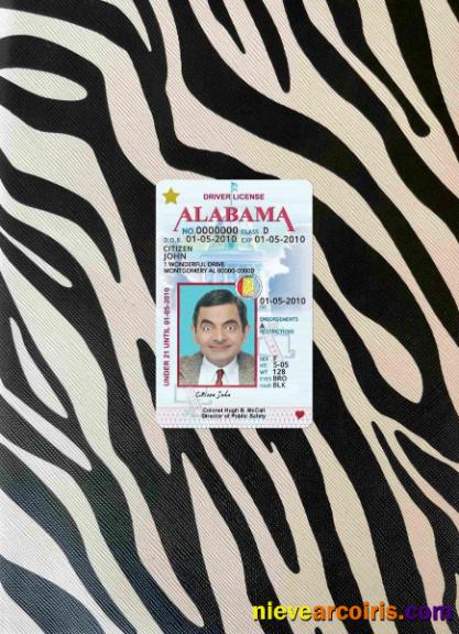 USA Alabama driving license photolook